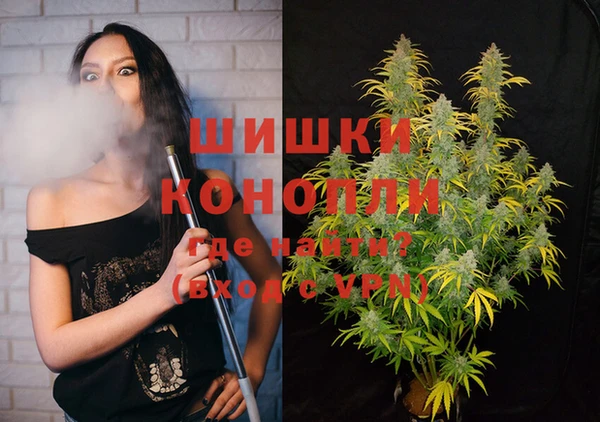 мет Касимов
