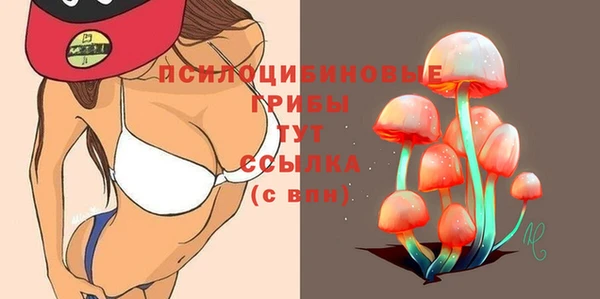 метамфетамин Карпинск