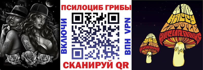 купить наркотик  Ленинск-Кузнецкий  Галлюциногенные грибы мухоморы 